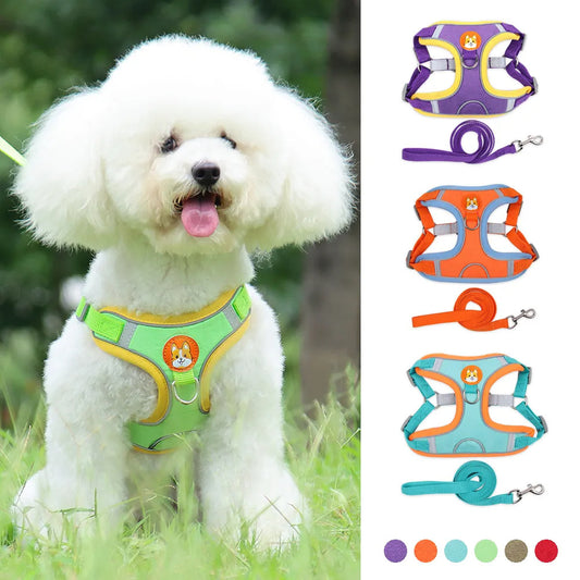 Reflective Dog Harness & Leash